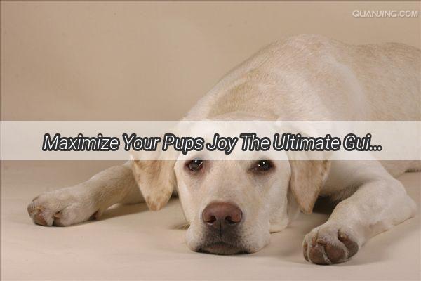 Maximize Your Pups Joy The Ultimate Guide to Choosing the Perfect Dog Snacks